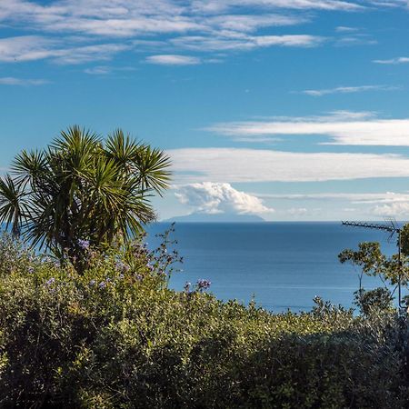 Belle View - Stay Waiheke Onetangi Dış mekan fotoğraf